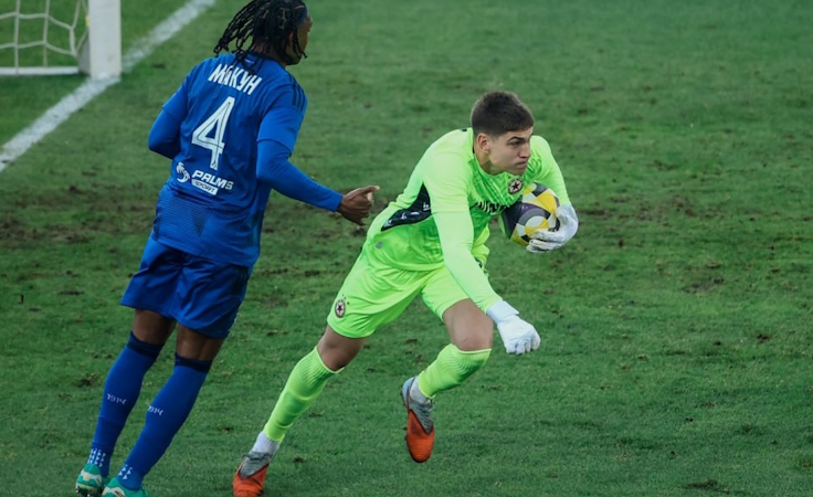 Федор Лапоухов