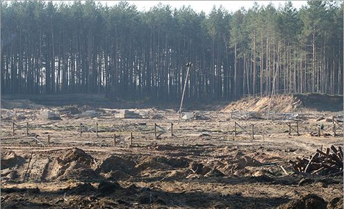 Строительство стадион в Борисове. Фото ex-Press.by Строительство стадион в Борисове. Фото ex-Press.by