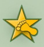 Приз Golden Foot. Голден фут. Приз Golden Foot. Голден фут.