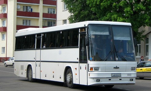 Автобус МАЗ. Фото busphoto.ru