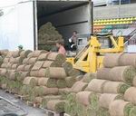 Укладка газона на стадионе "Неман" Укладка газона на стадионе "Неман"